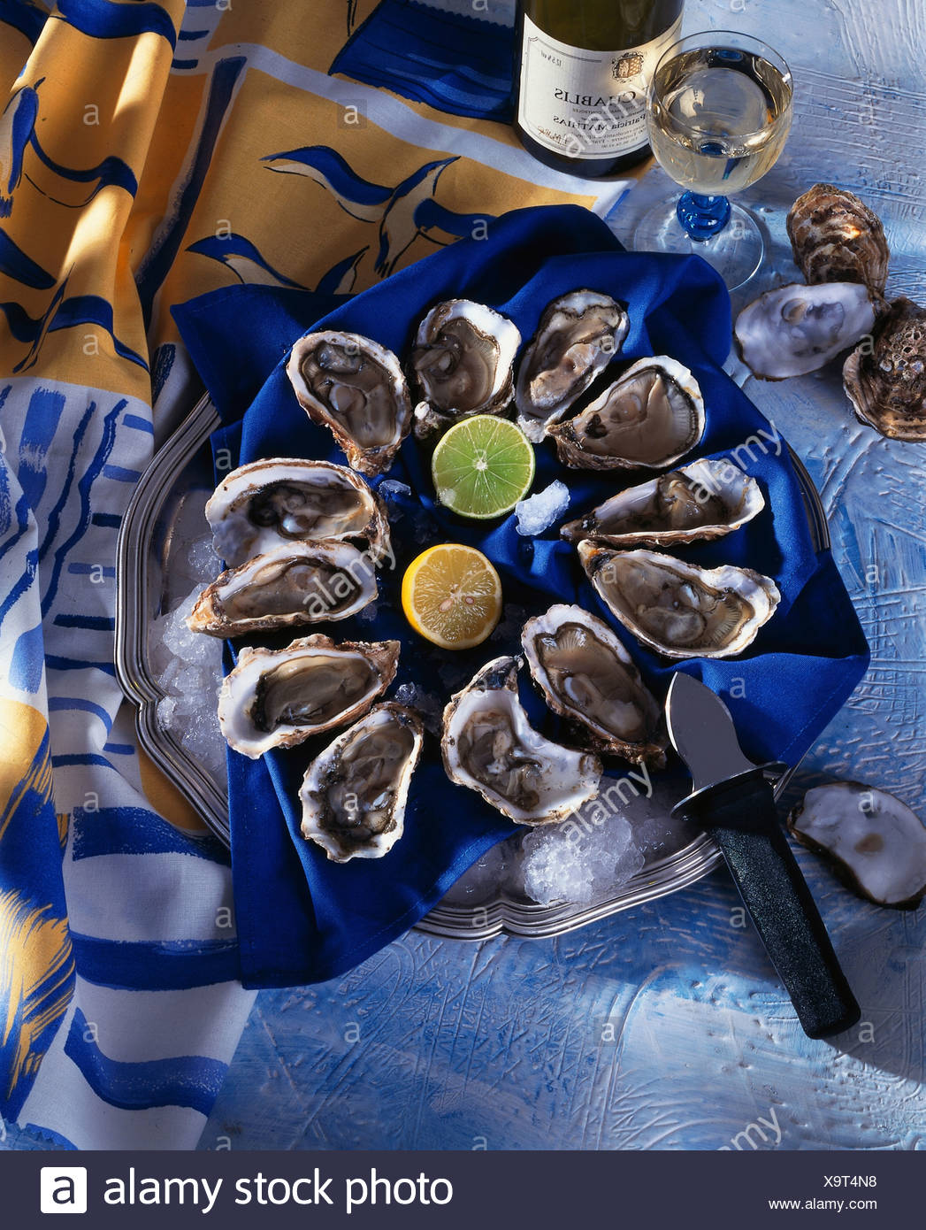 Portuguese Oyster High Resolution Stock Photography and Images Alamy