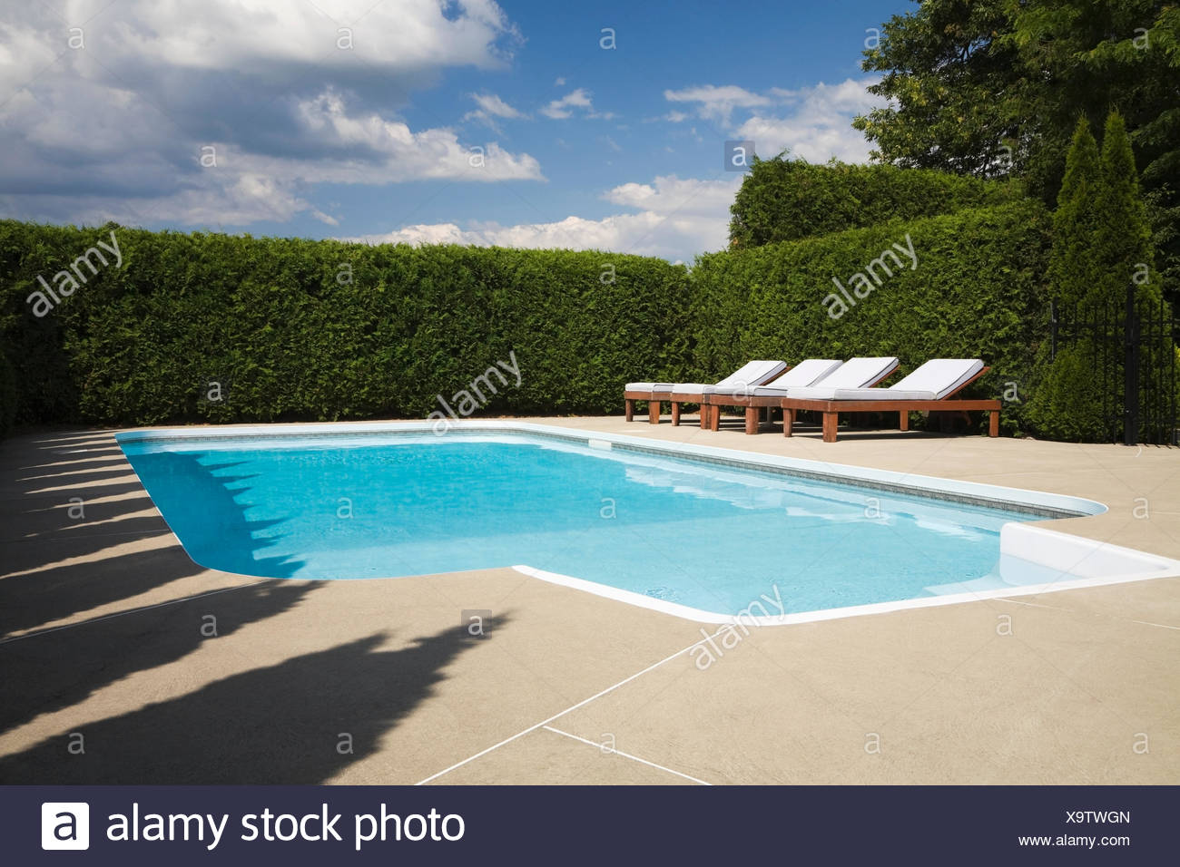 Inground Swimming Pool Surrounded By A Cedar Tree Hedge In A Backyard Quebec Canada Stock Photo Alamy
