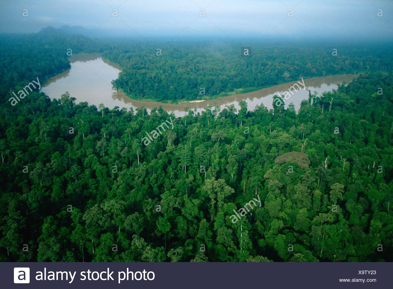 Aerial View Of An Oxbow Lake In The Kinabatangan Wildlife Sanctuary Sabah Borneo Malaysia Stock Photo Alamy