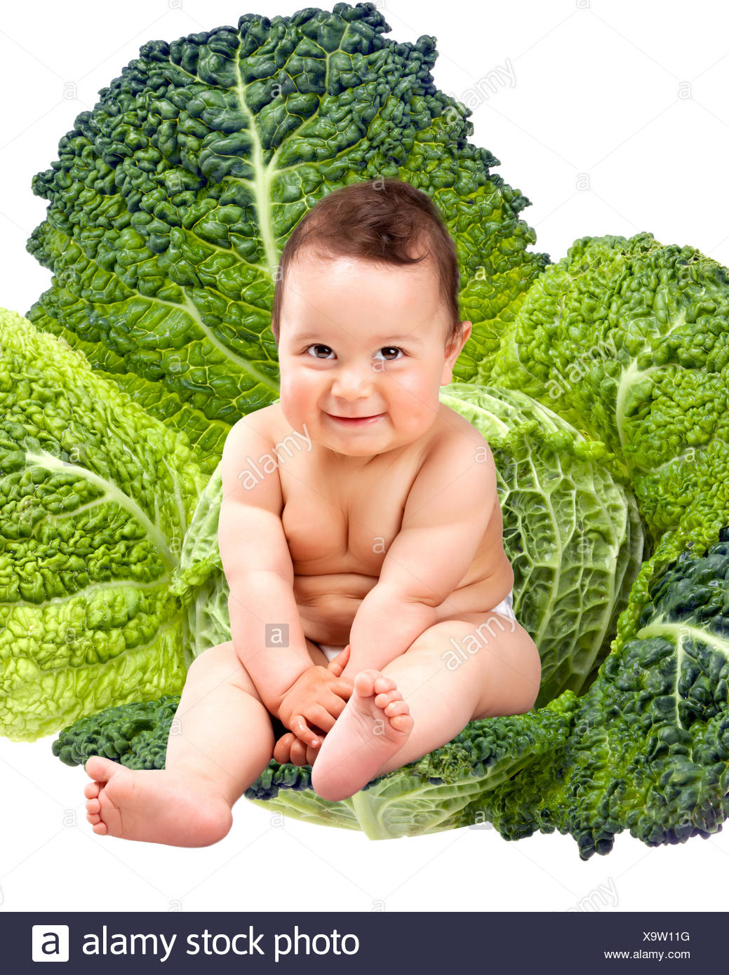 boy cabbage