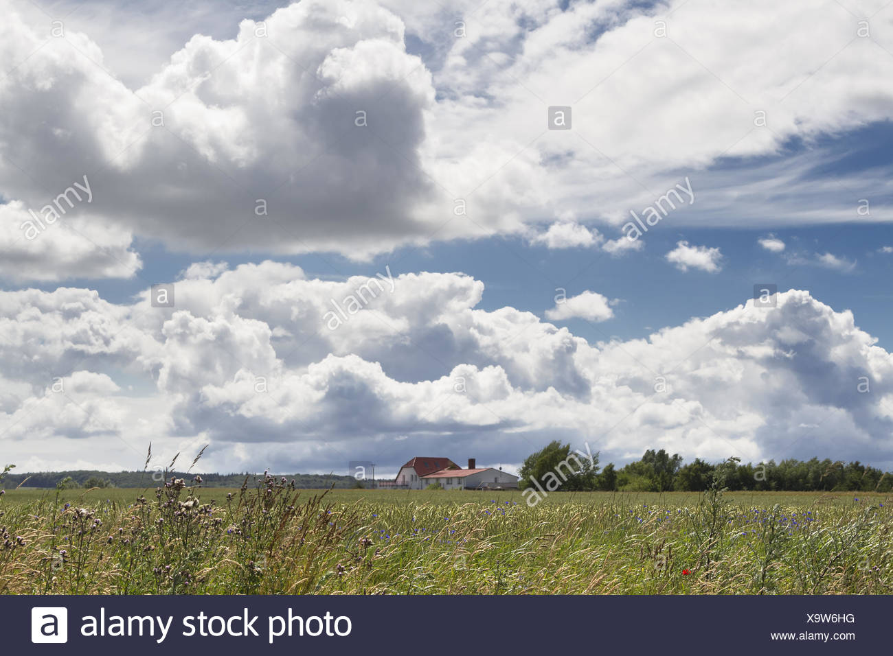 landscape Stock Photo