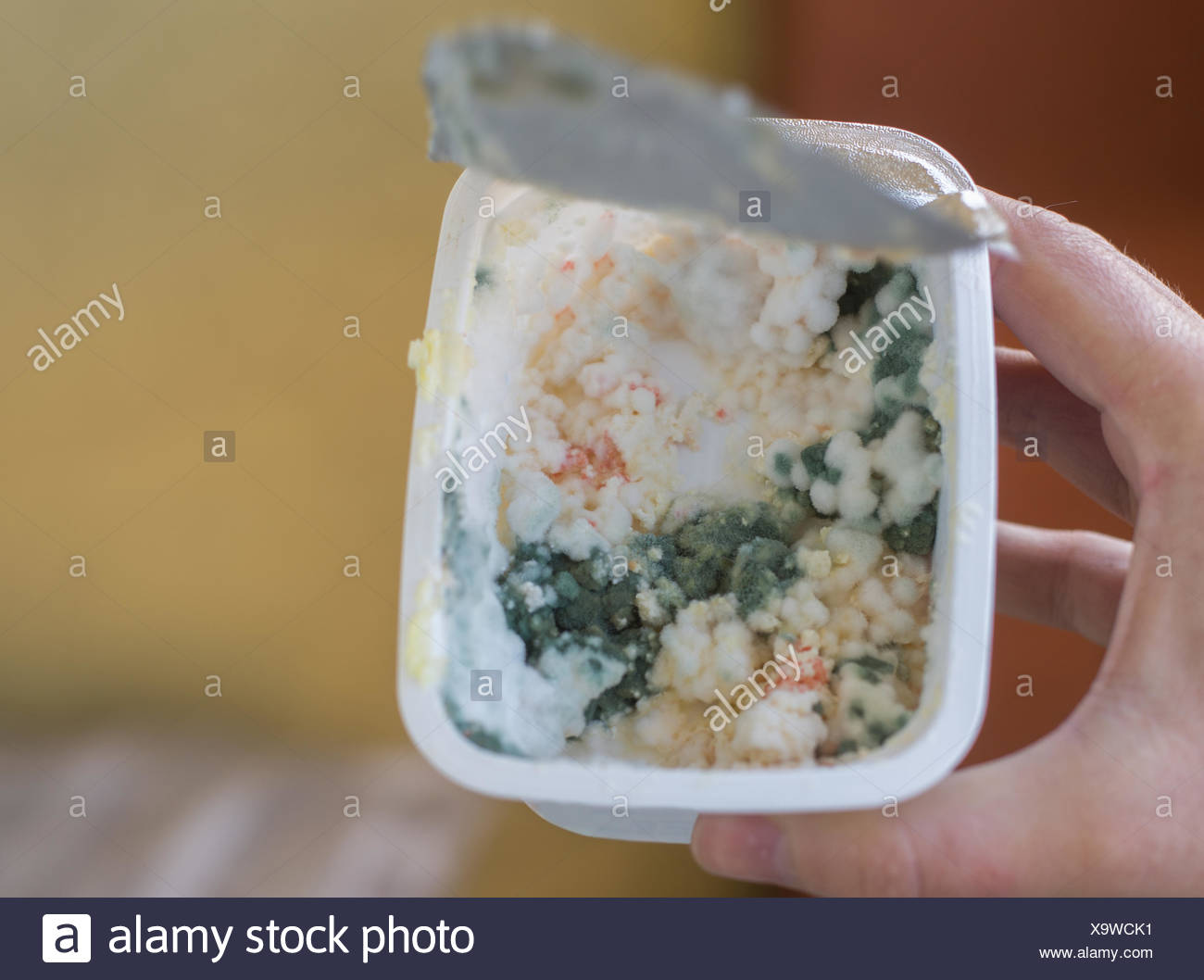Close Up On Rotten Butter Or Cottage Cheese Stock Photo 281456533