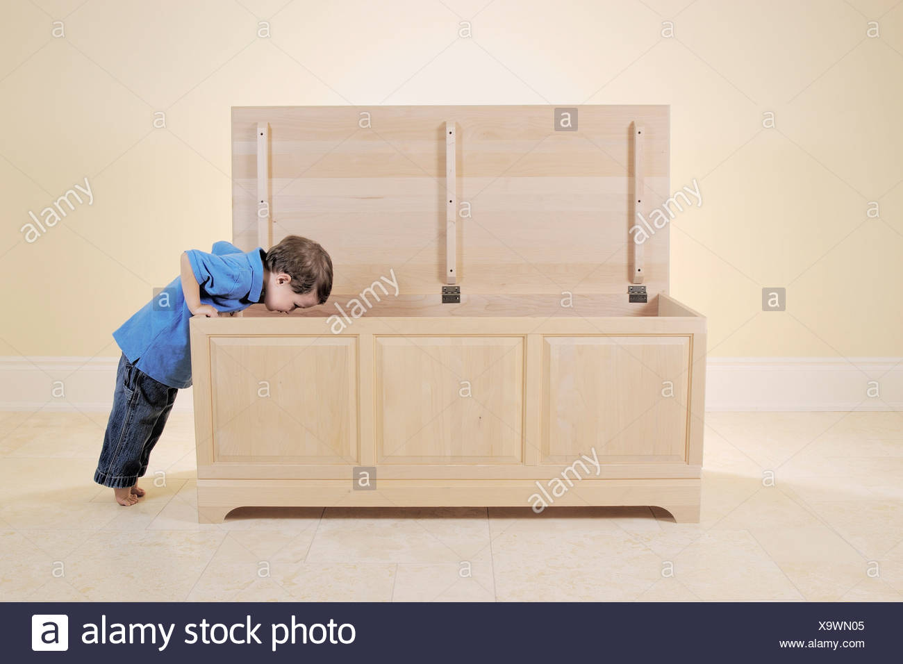 looking for a toy box
