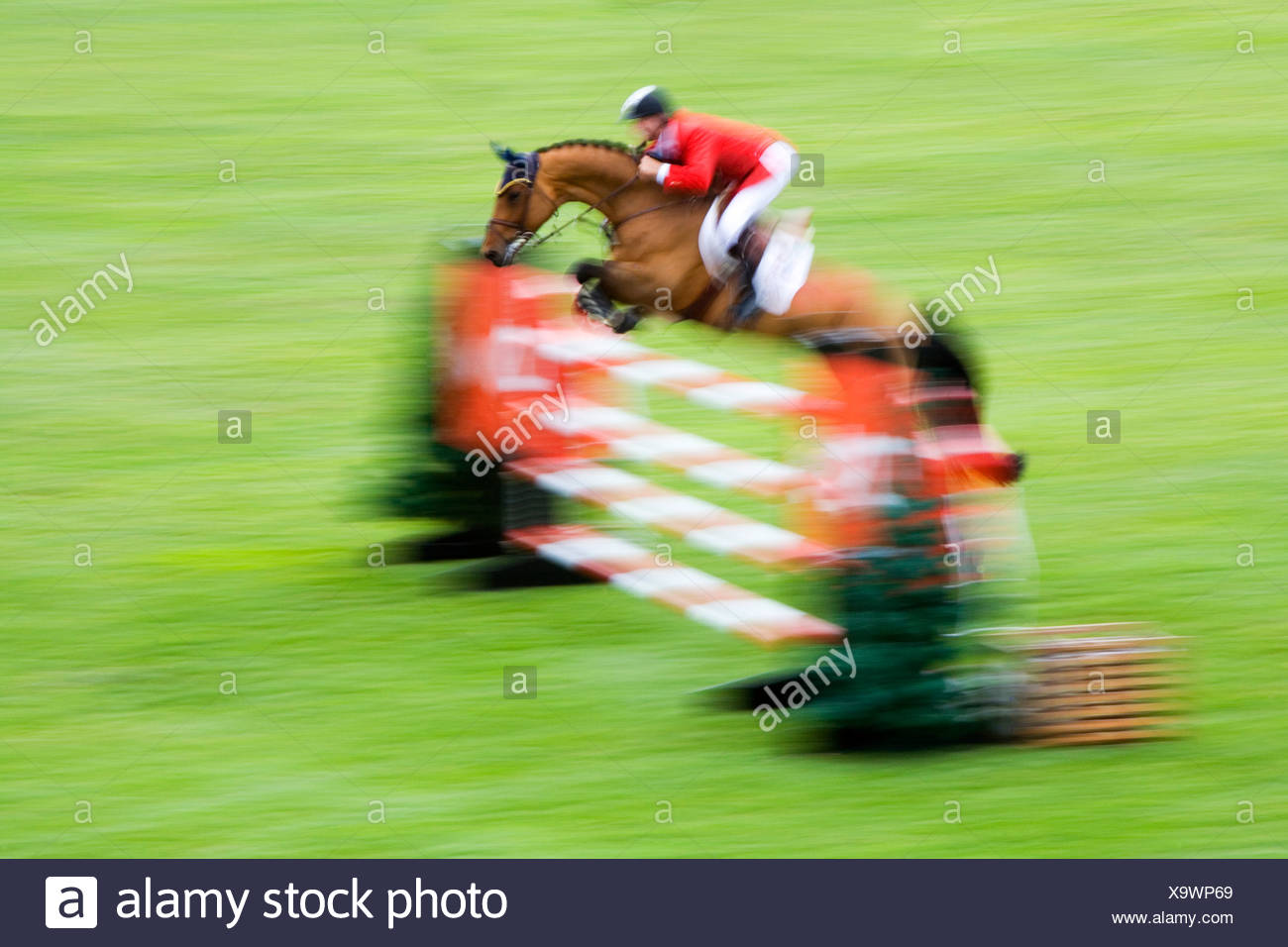 Horse Jumping Over Fence High Resolution Stock Photography and Images ...