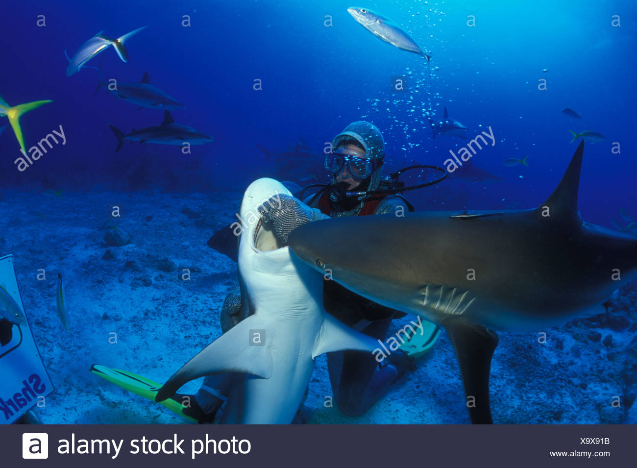 Chain_mail High Resolution Stock Photography and Images Alamy