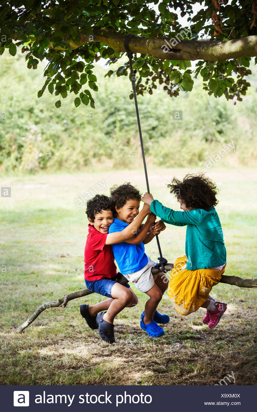 Two Boys And A Girl Sitting On A Tree Swing Stock Photo