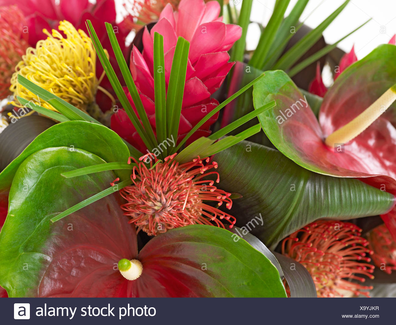 Red Flower Bouquet Including Anthurium Flamingo Lily Heliconia And Red Ginger Lily Close Up Stock Photo Alamy