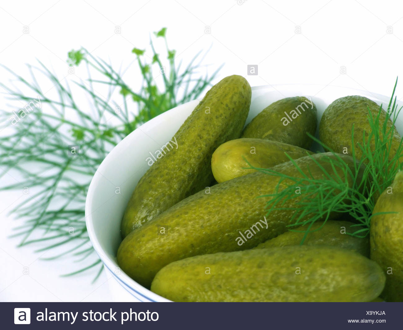 How to save cucumbers How to save cucumbers