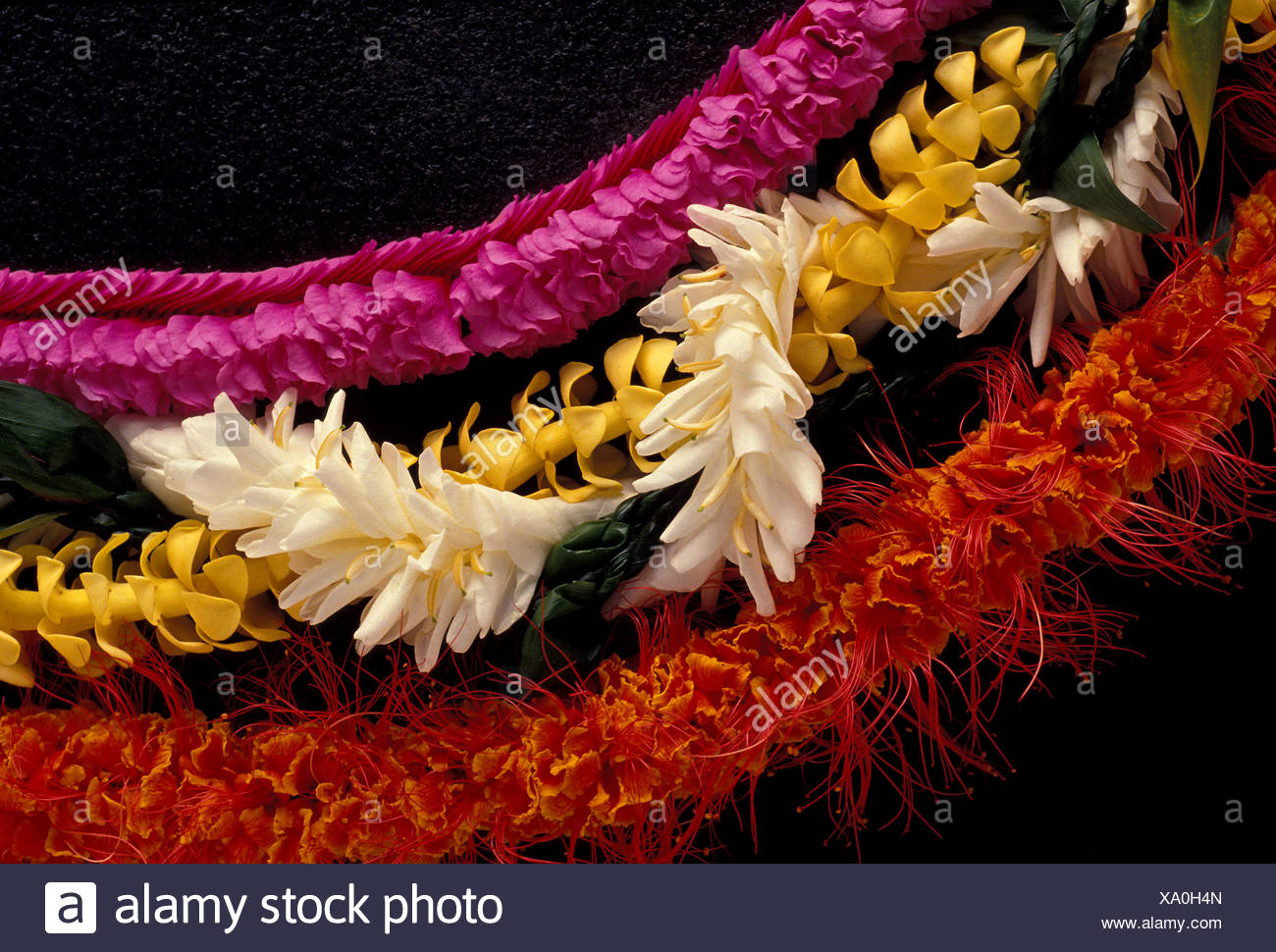 Puakenikeni High Resolution Stock Photography and Images Alamy