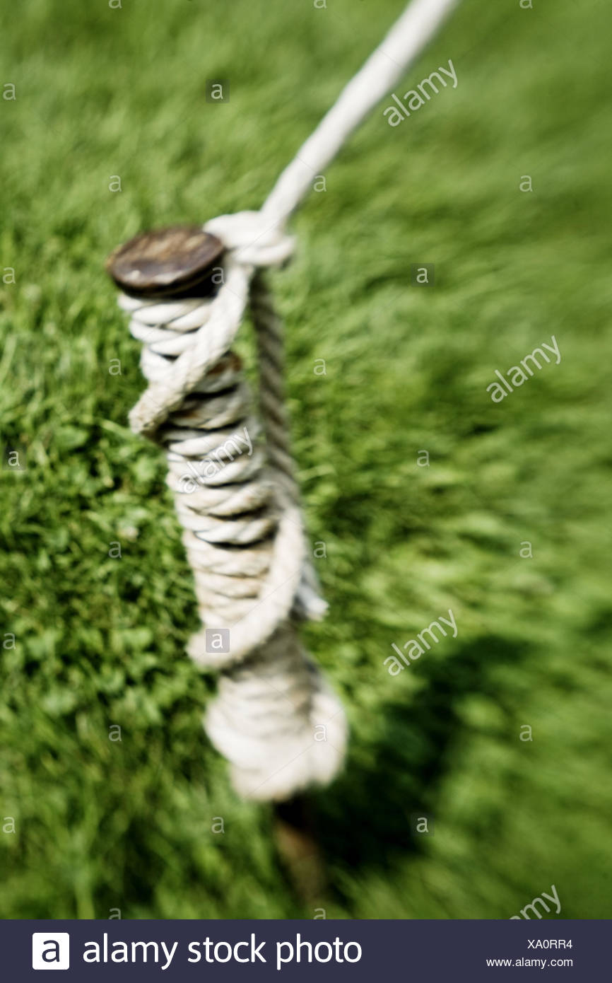 Tied To Stake High Resolution Stock Photography and Images - Alamy