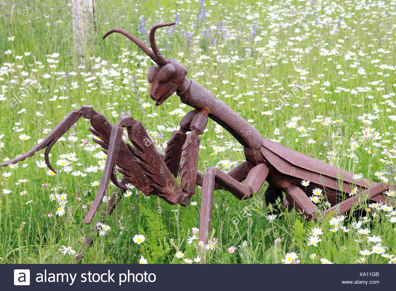 Heuschrecke Als Garten Kunstwerk Stock Photo 281535643 Alamy