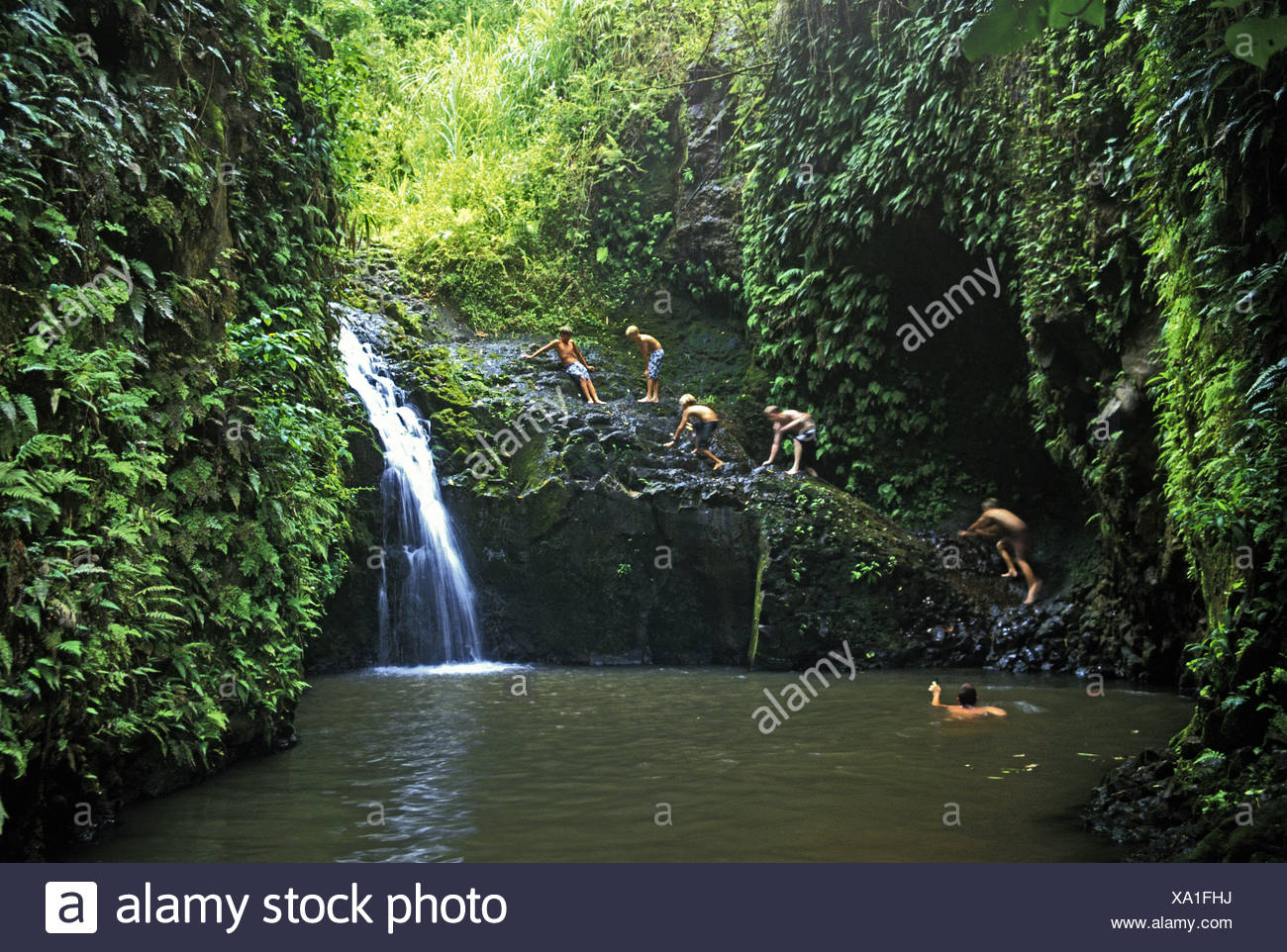 Editorial Only Hikers Enjoy A Cool Dip In The Waterfalls And Pool At The End Of Maunawili Falls Trail Stock Photo Alamy