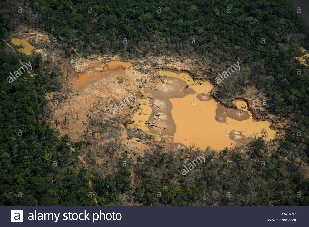 Amazon Rainforest Aerial Stock Photos & Amazon Rainforest Aerial Stock