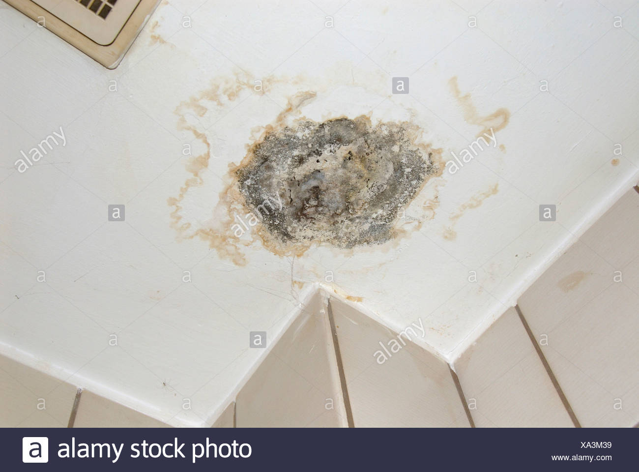 Water Damage Bath Bathroom Ceiling Condensation Economy Humidity
