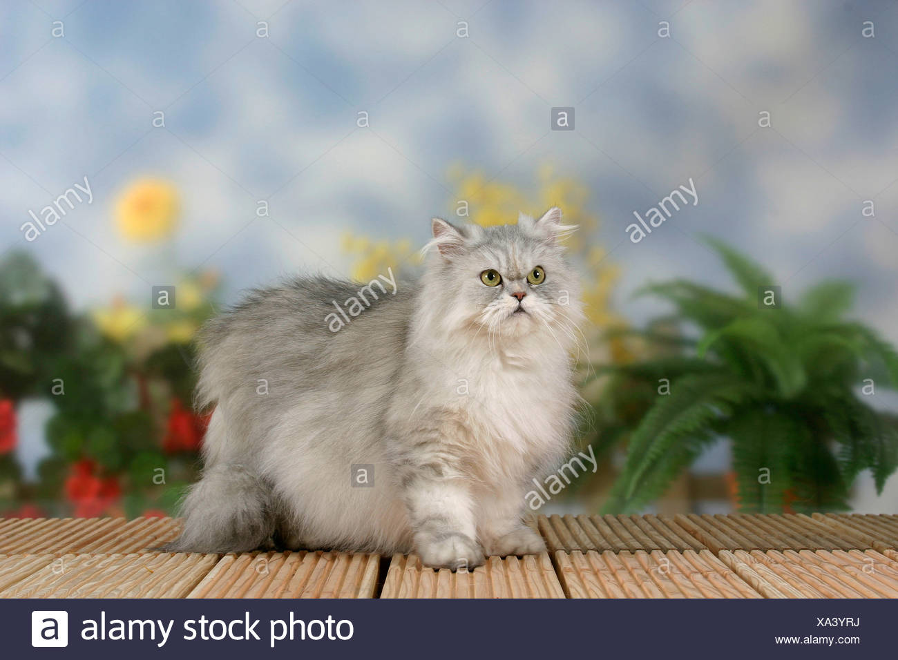 Silver Shaded High Resolution Stock Photography And Images Alamy