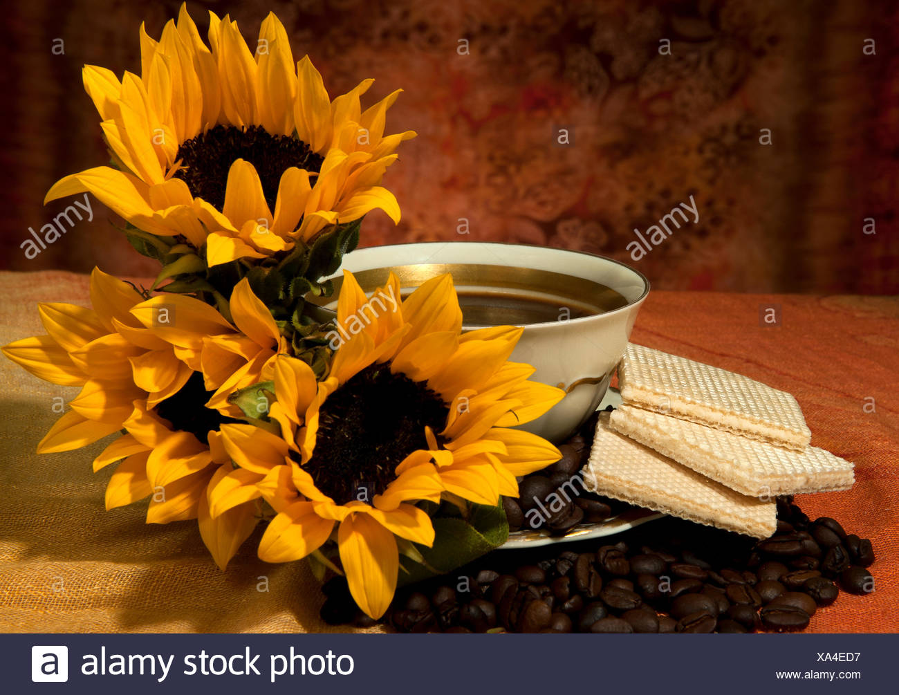 sunflower bibs