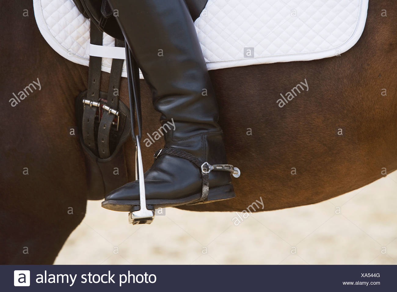 Riding Spur Riding High Resolution Stock Photography and Images Alamy