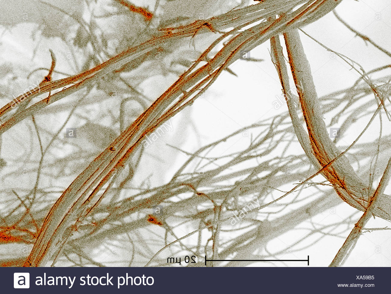 Asbestos Fibre High Resolution Stock Photography and Images - Alamy