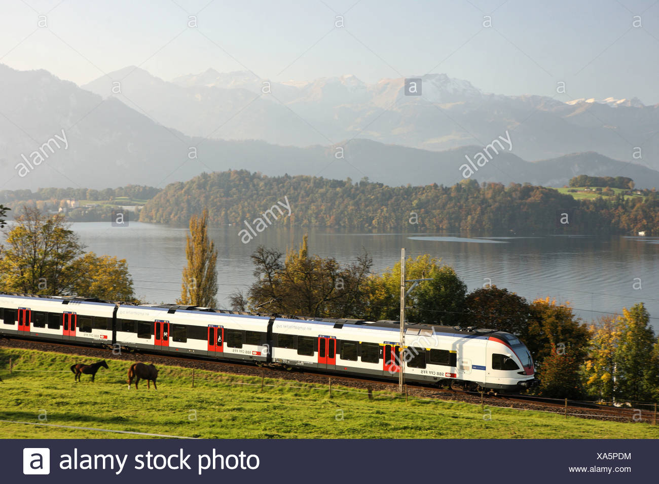 Page 3 - Stadler High Resolution Stock Photography and Images - Alamy