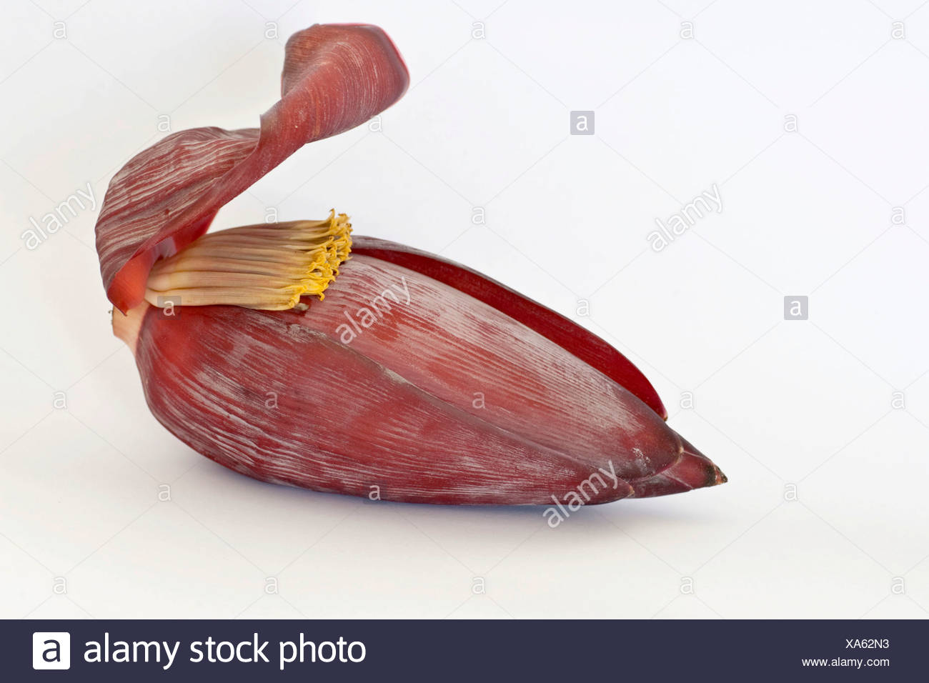 Banana Heart Stock Photos & Banana Heart Stock Images Alamy