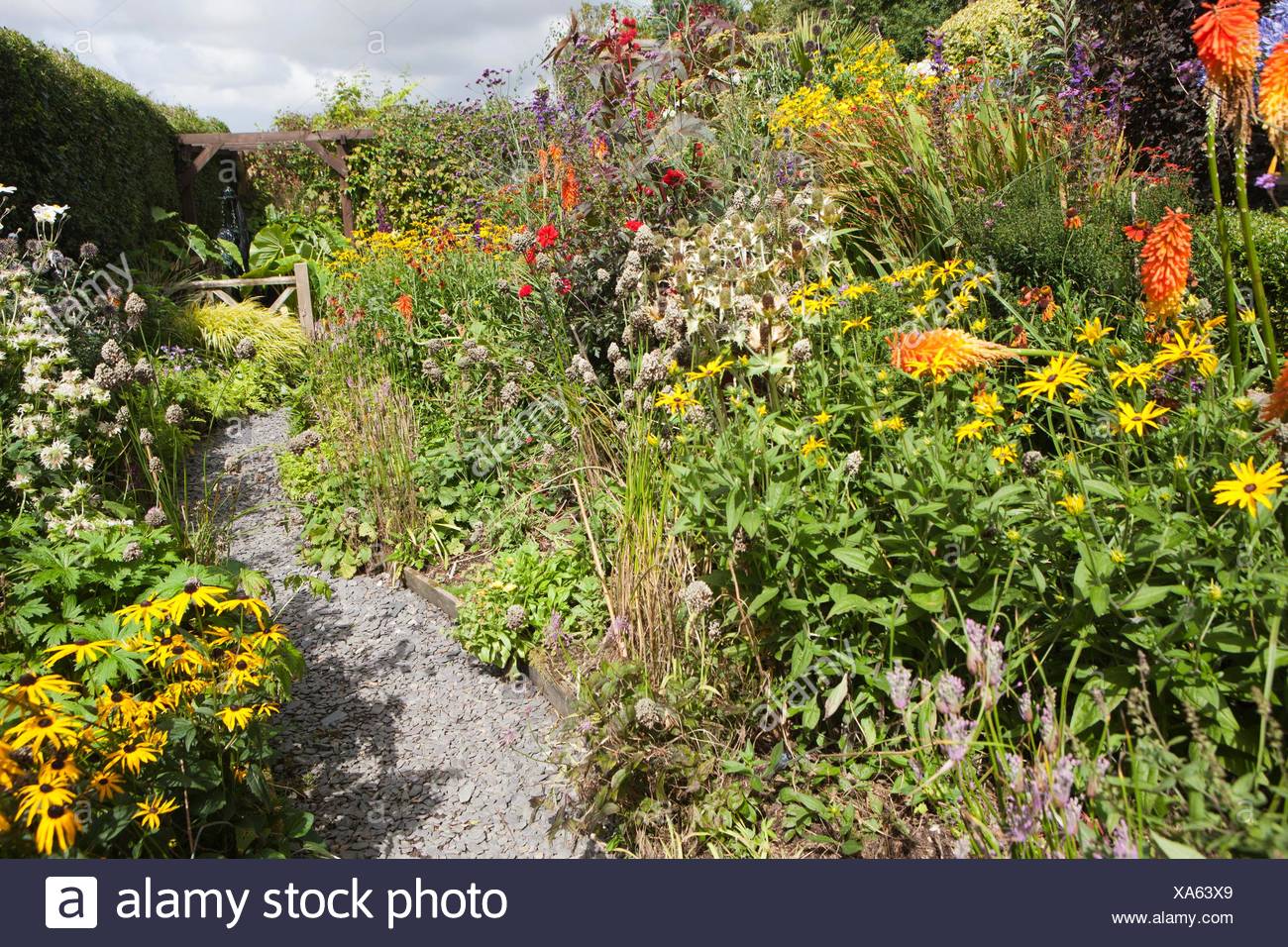 Poppy Cottage Garden On Roseland Peninsula In Cornwall Stock Photo