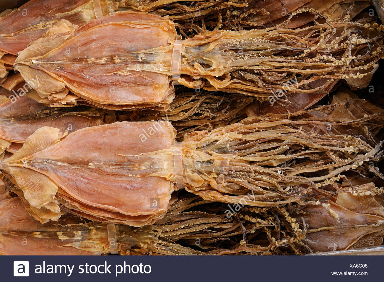 Japanese Dried Squid High Resolution Stock Photography and Images Alamy