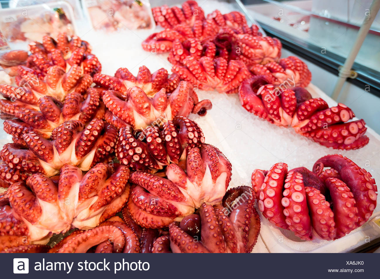 Octopus In Japanese Wet Market Stock Photo Alamy Octopus In Japanese Wet Market Stock Photo Alamy