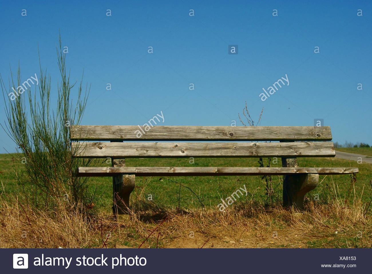 Romantic Old Park Bench In Front Lawn Stock Photo 281688991 Alamy