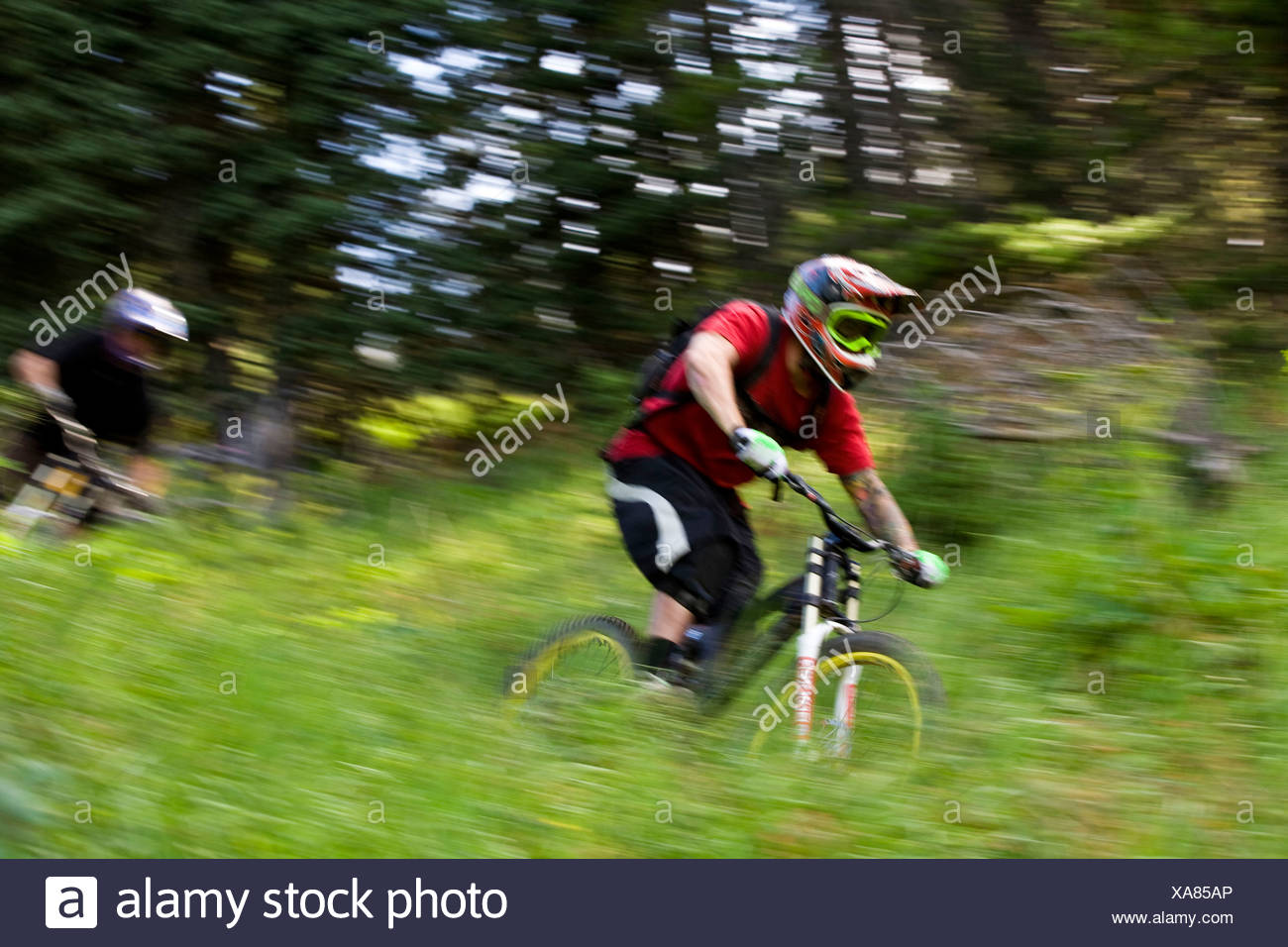 moose mountain biking