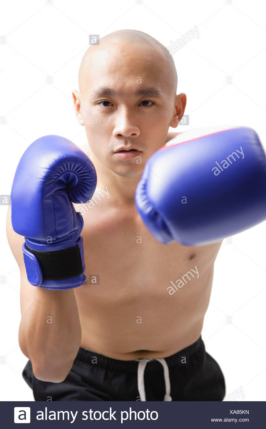 purple kickboxing gloves