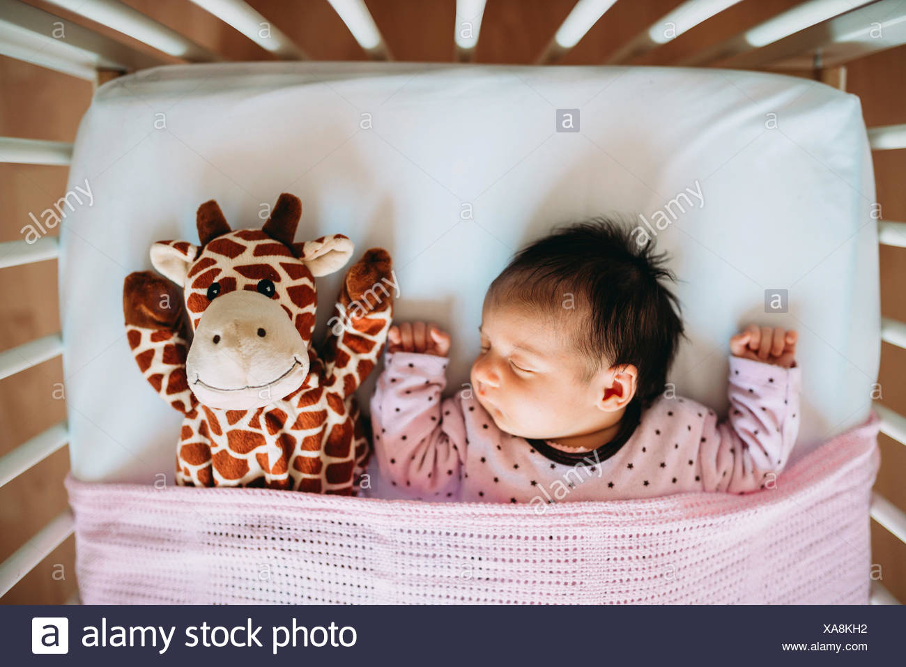 Newborn Baby Girl Sleeping In Crib With A Plush Giraffe Stock
