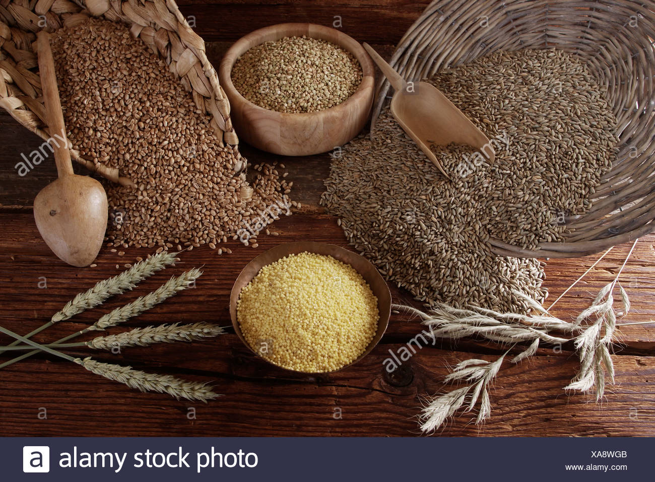 Millet Wheat High Resolution Stock Photography and Images Alamy