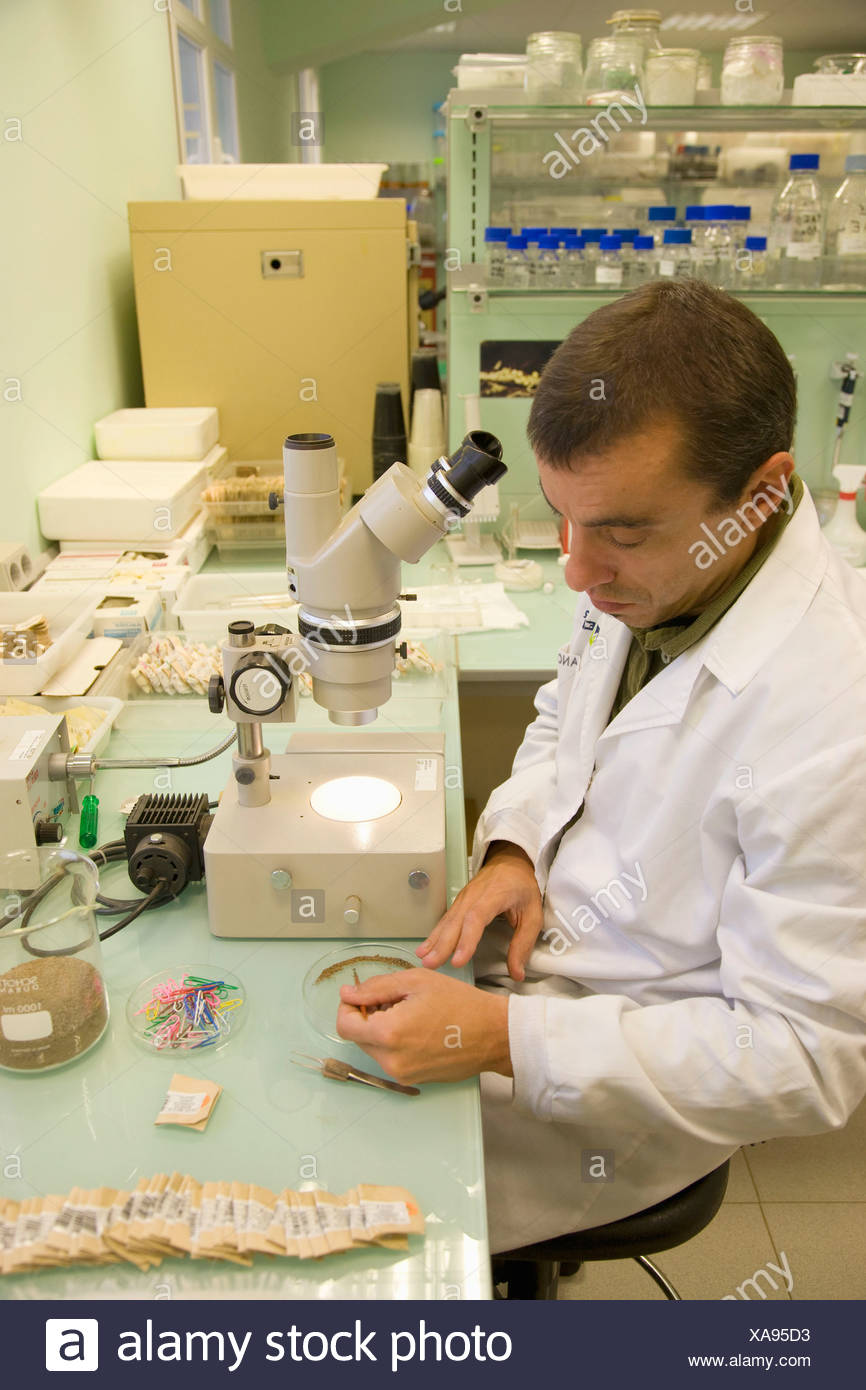 Soil Nematode Microscope High Resolution Stock Photography and Images ...