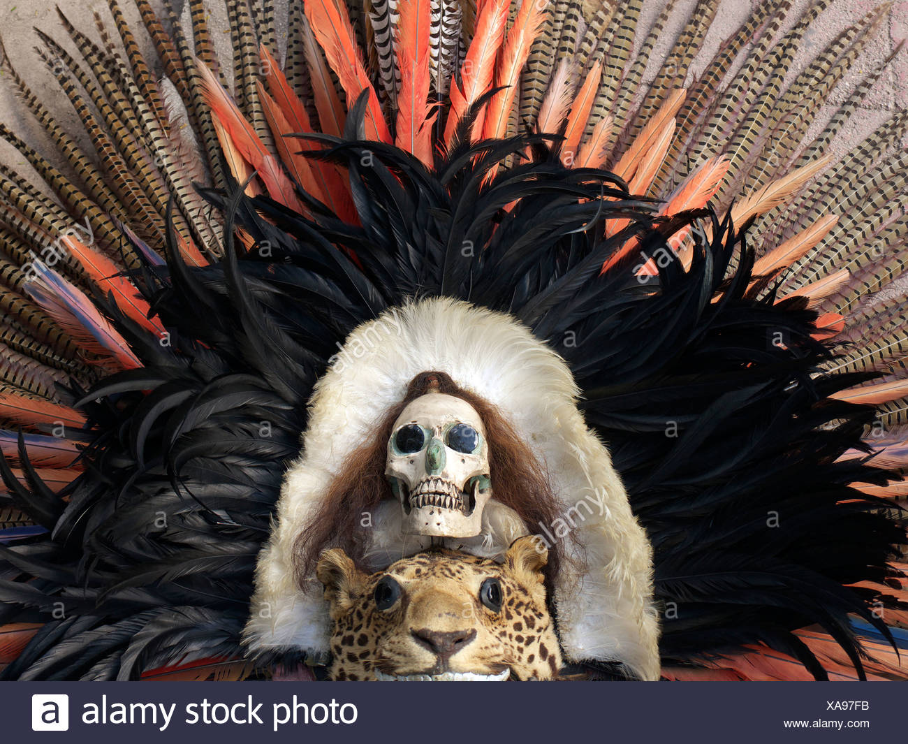 Download Predator Mask High Resolution Stock Photography And Images Alamy Yellowimages Mockups