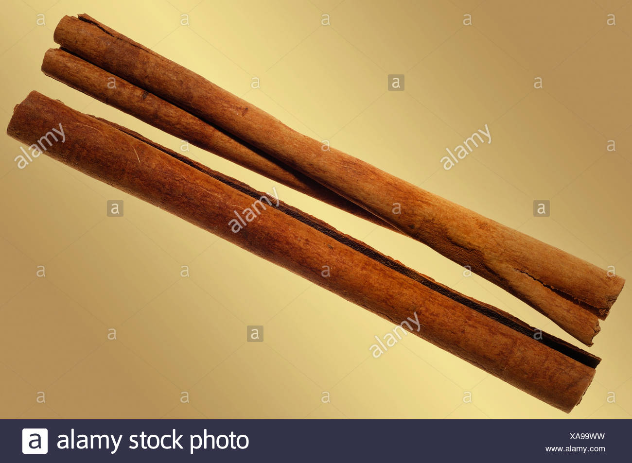 Cinnamon sticks (Cinnamonum) Stock Photo