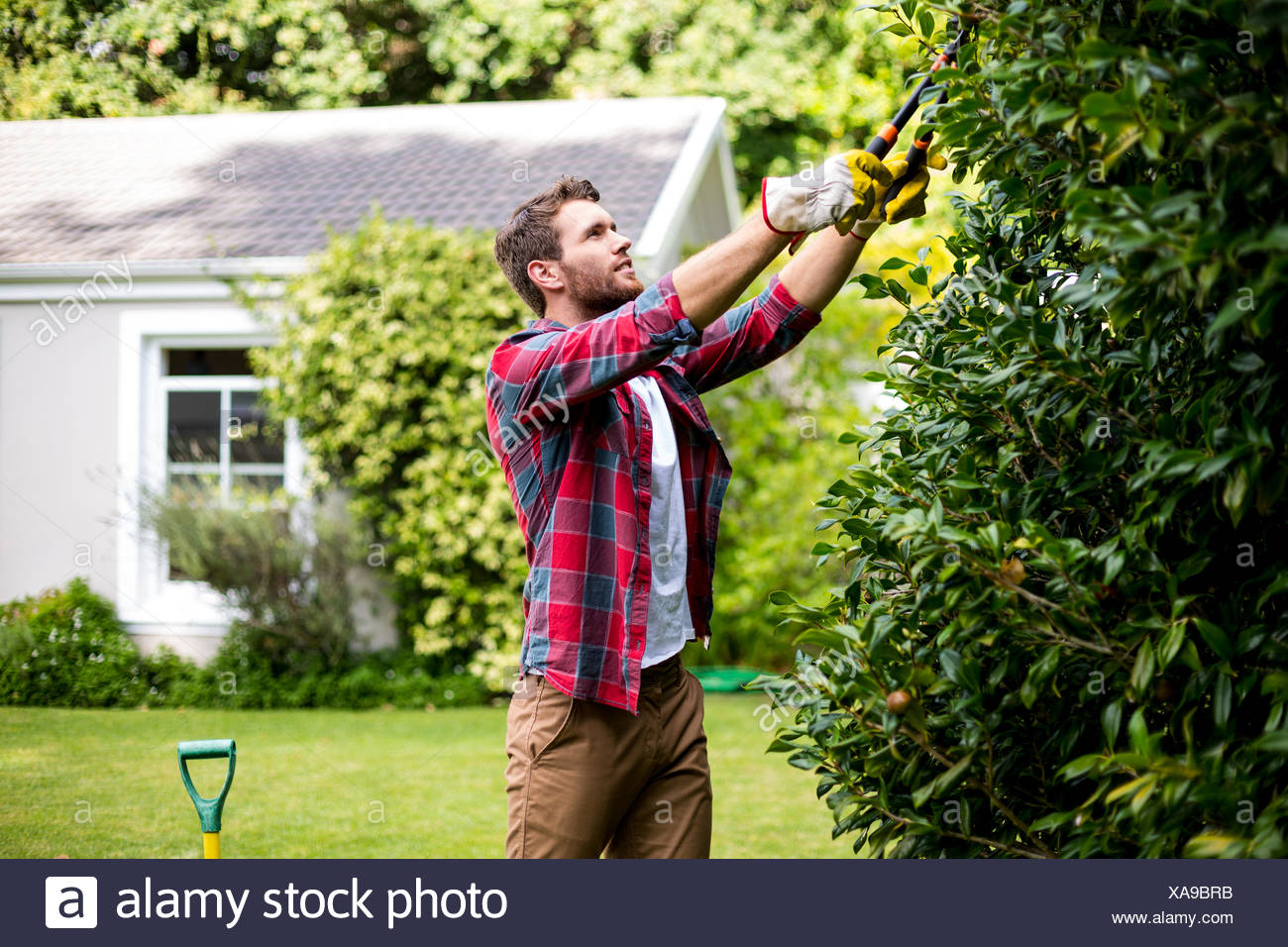 Tending Plant High Resolution Stock Photography and Images Alamy