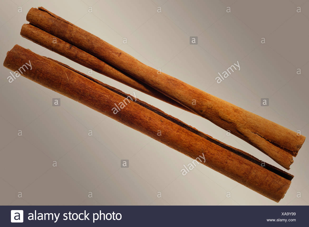 Cinnamon sticks (Cinnamonum) Stock Photo