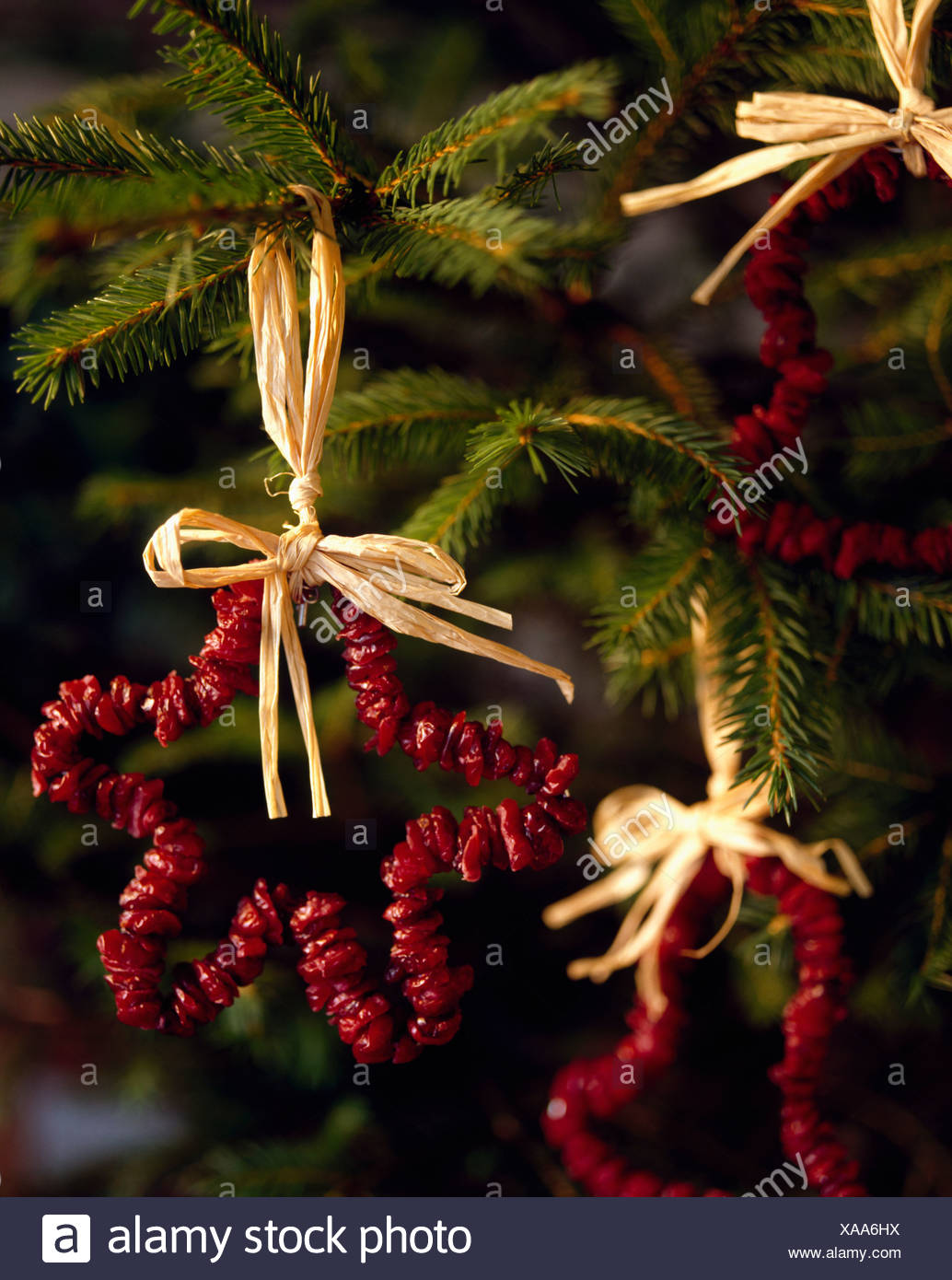 Close Up Of Home Made Dried Cranberry Christmas Star Decoration
