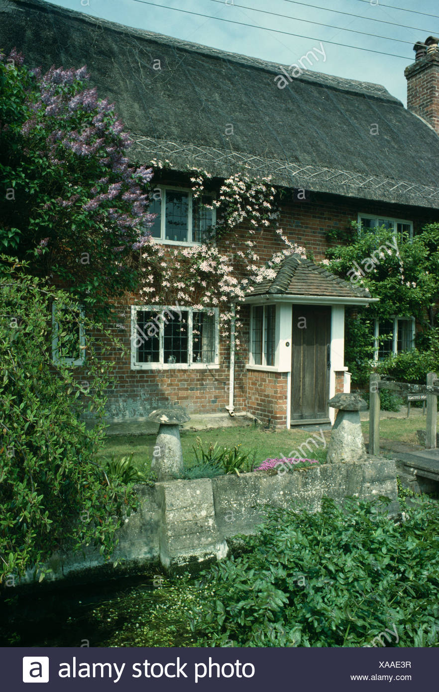 Pink Climbing Roses Over Front Door Of Country Cottage With Thatched Roof Beside Stream Stock Photo Alamy