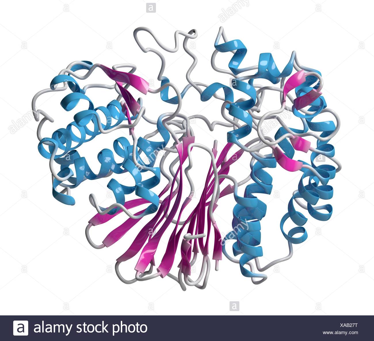 Gammaglutamyltransferase Captions Save