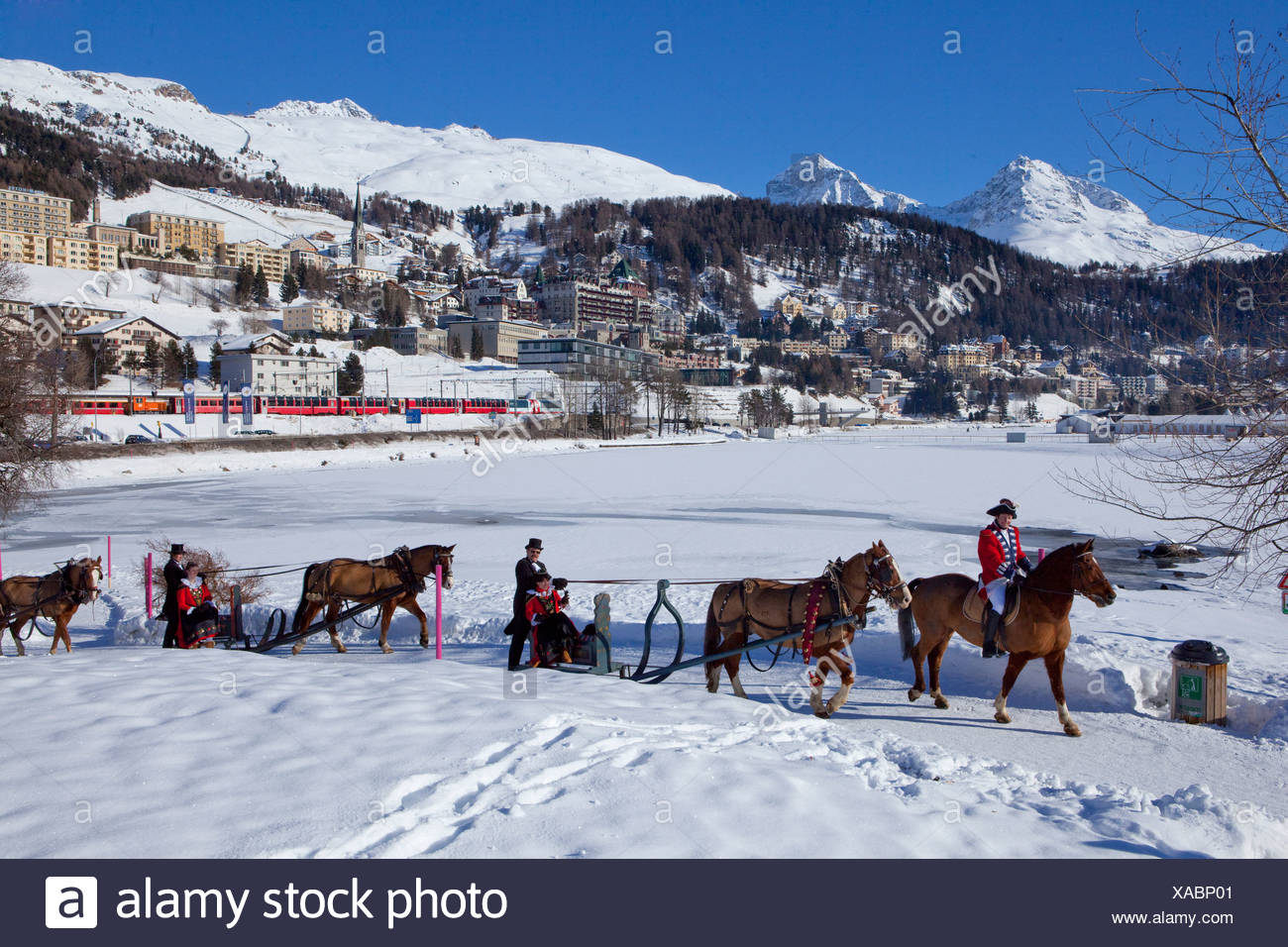 Sled Horse High Resolution Stock Photography and Images - Alamy