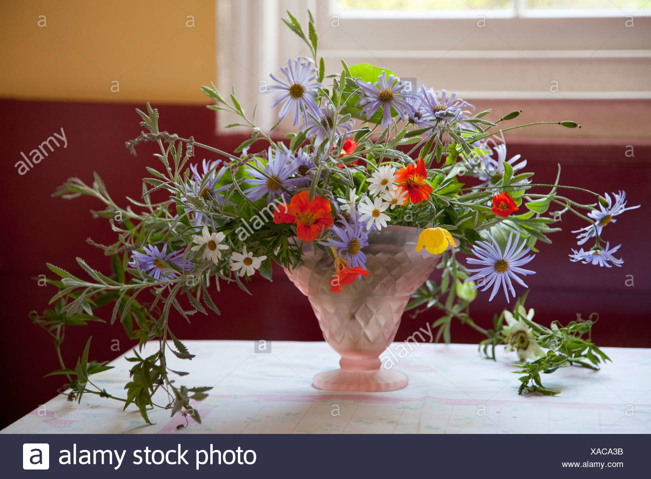 English Flowers High Resolution Stock Photography and Images Alamy