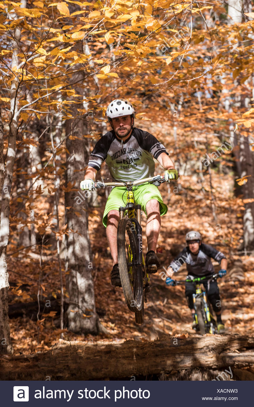 mountain biking white mountains