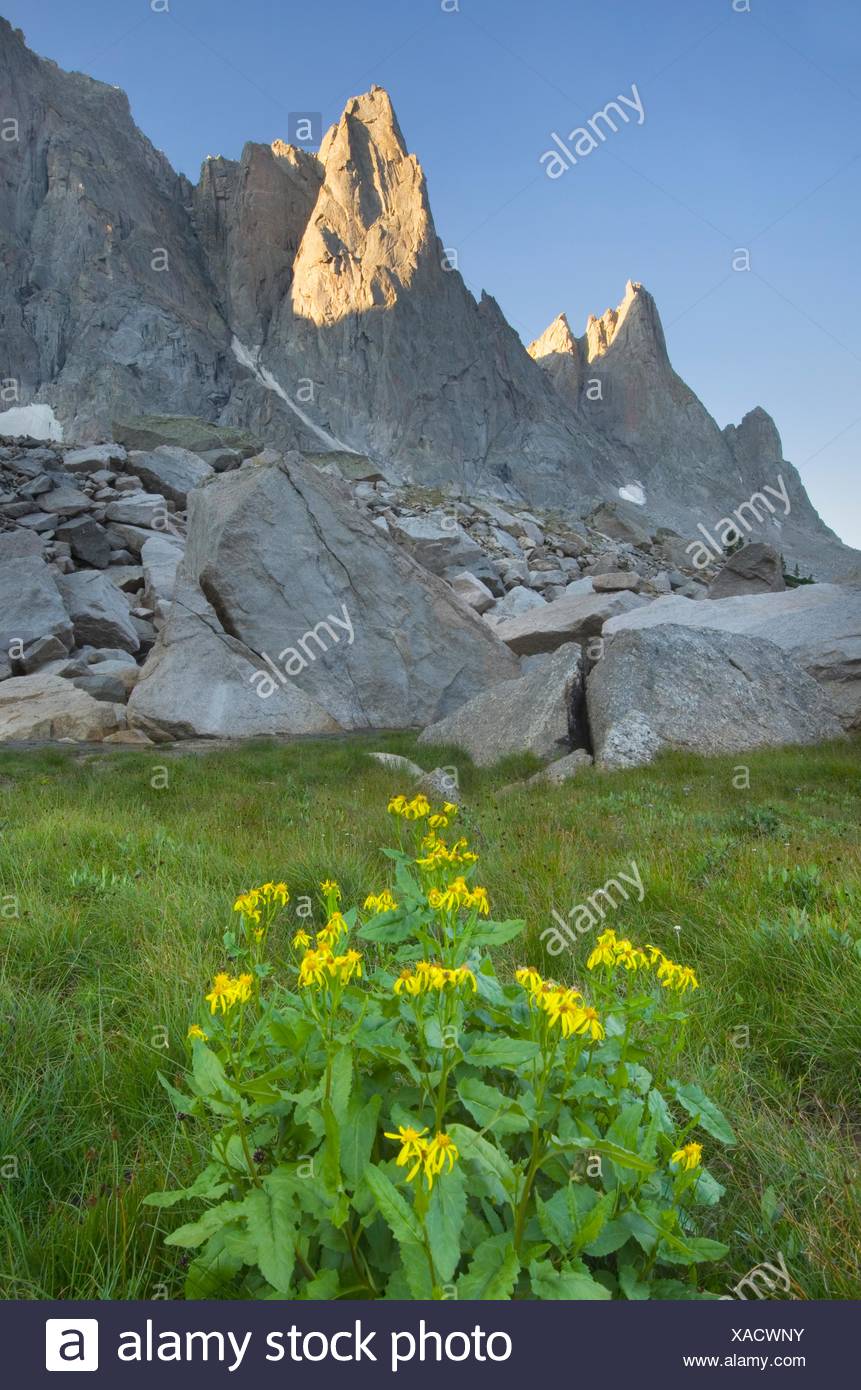 War Bonnet High Resolution Stock Photography and Images - Alamy