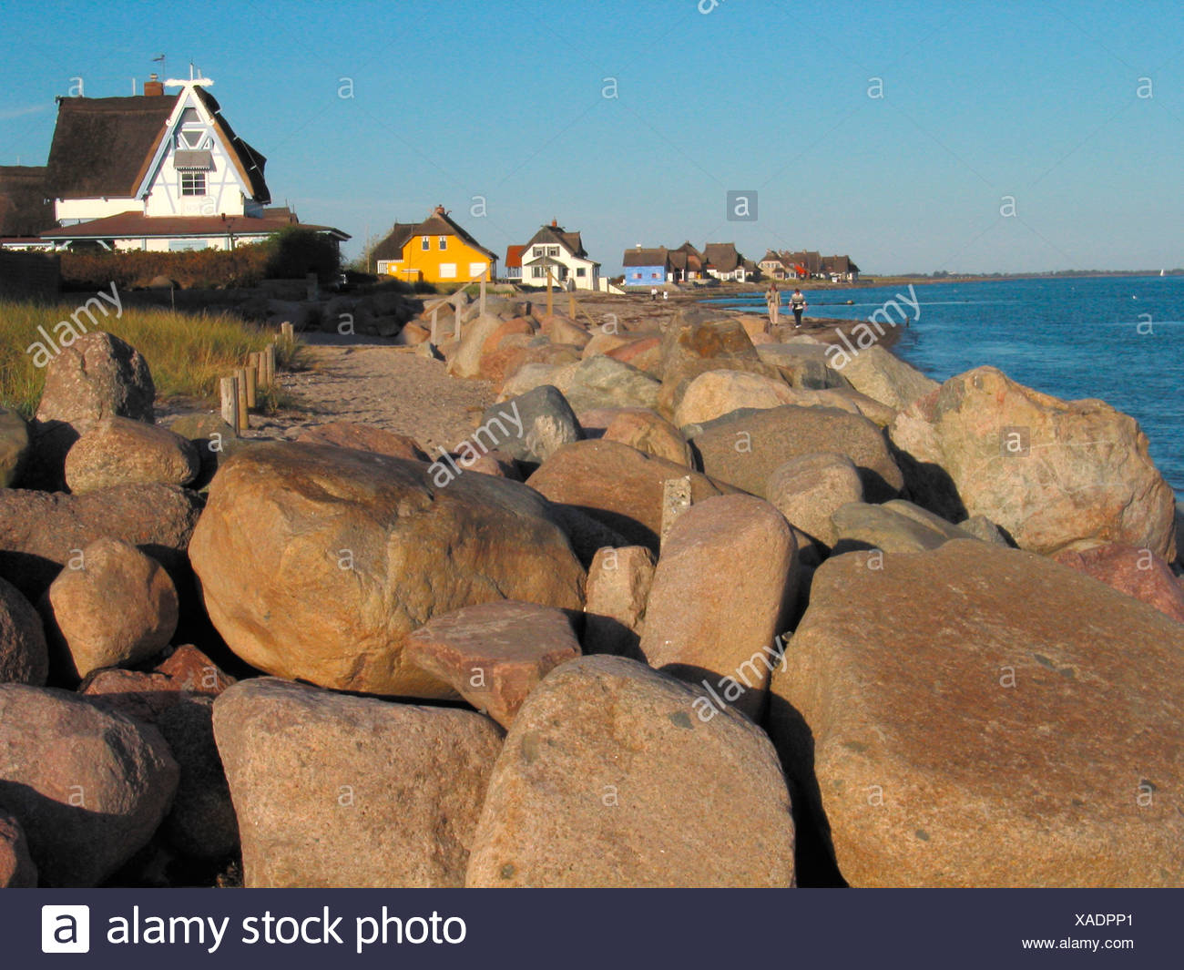 Single heiligenhafen