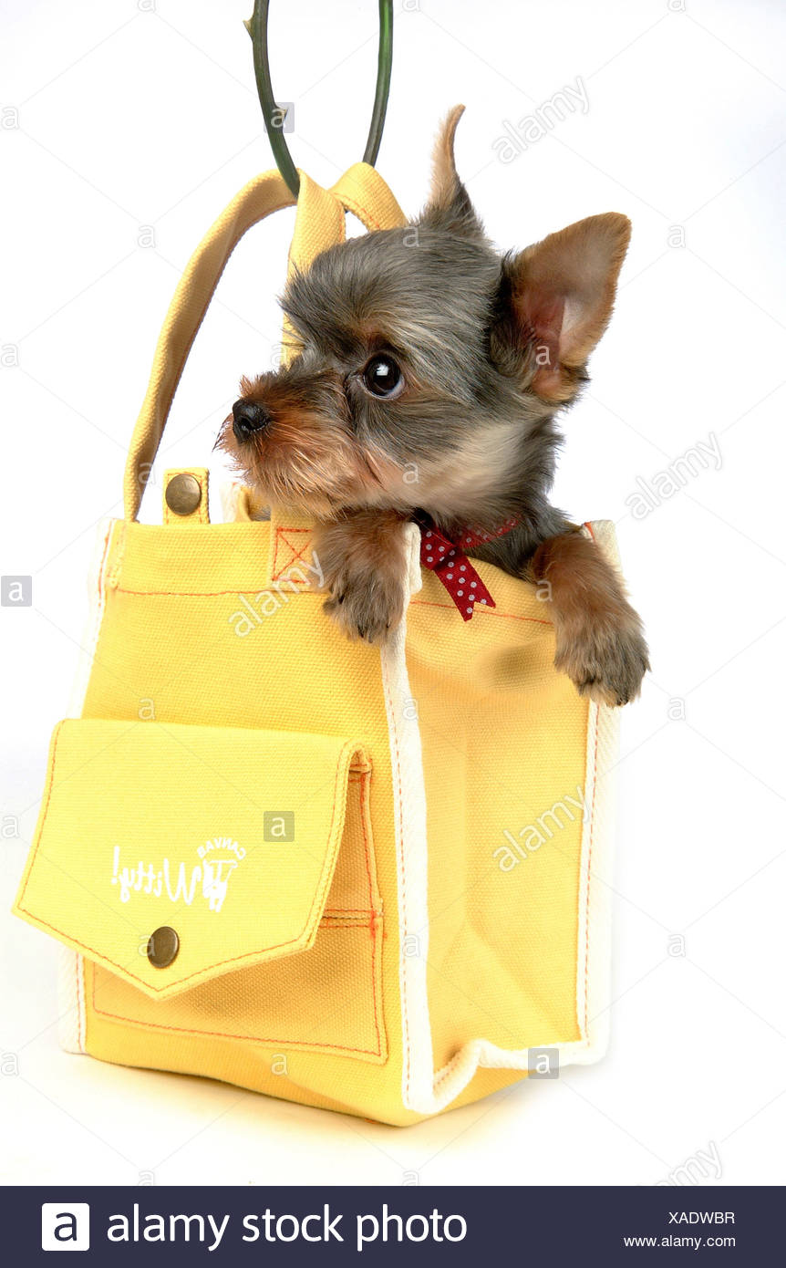 yorkshire bag company