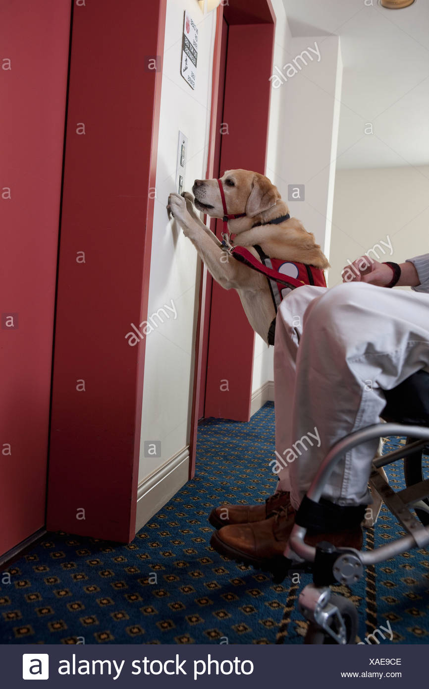 Service Elevator High Resolution Stock Photography and Images Alamy