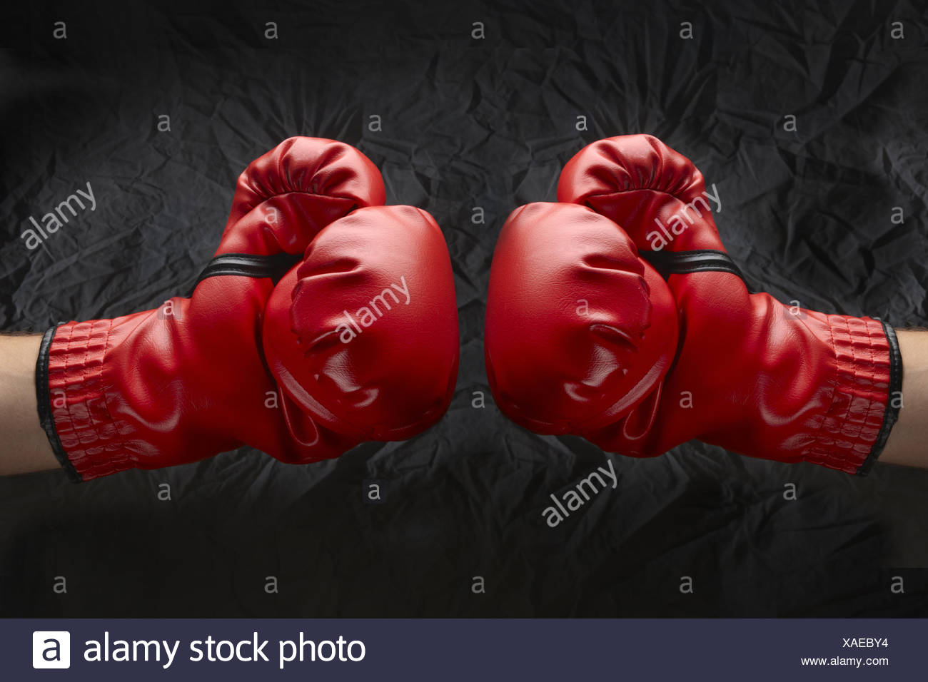 Ready To Rumble High Resolution Stock Photography And Images Alamy Ready To Rumble High Resolution Stock Photography And Images Alamy
