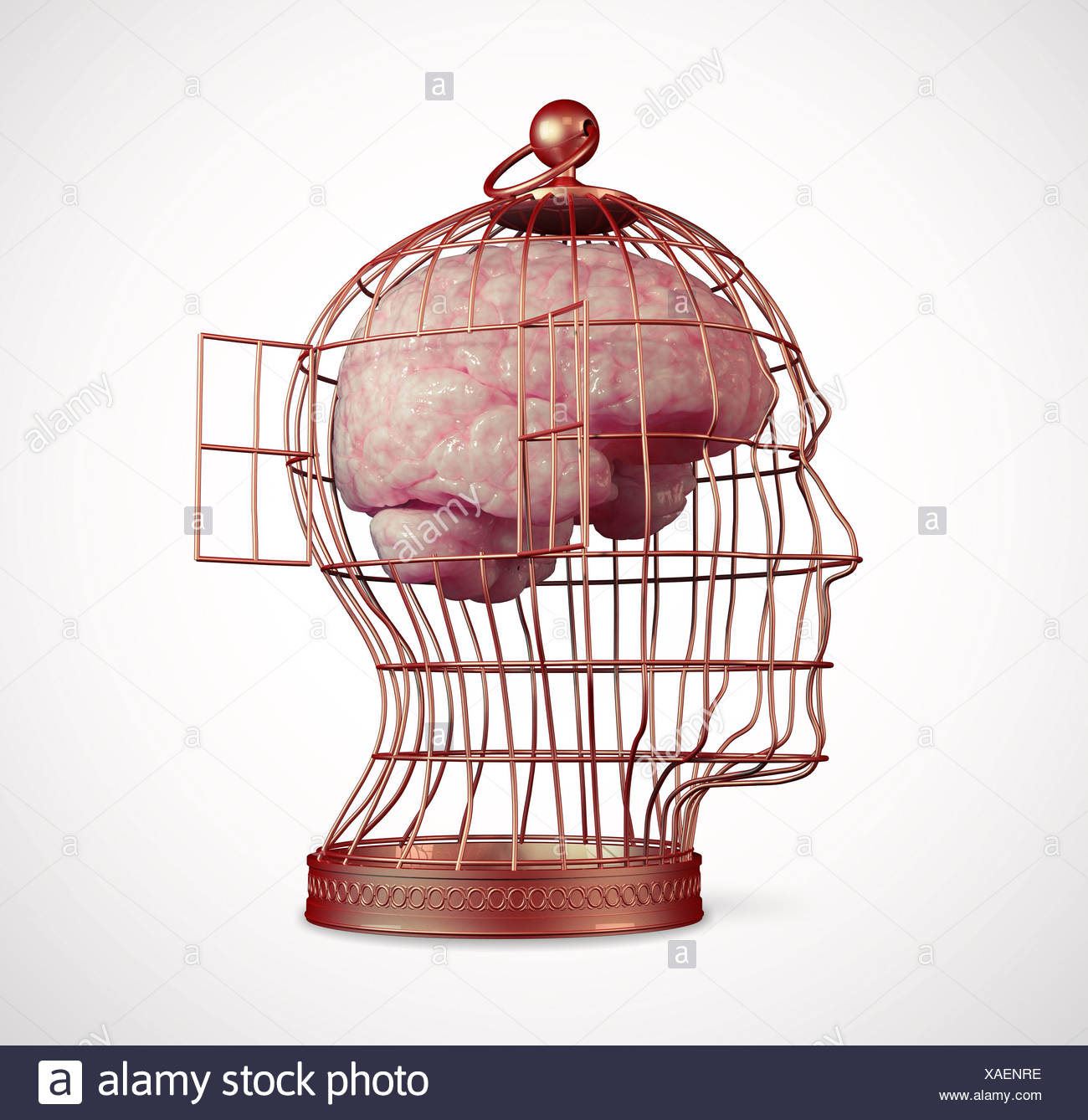 Caged Brain High Resolution Stock Photography and Images Alamy