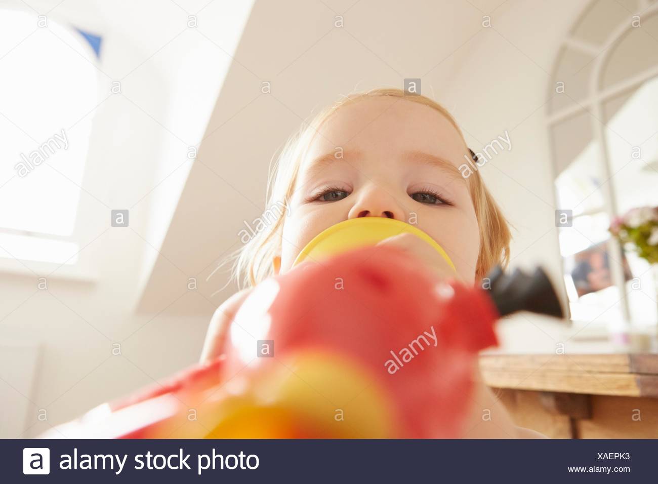 toy trumpet for toddlers